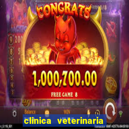 clinica veterinaria cuidar betim